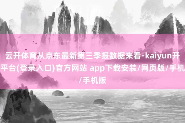 云开体育从京东最新第三季报数据来看-kaiyun开云平台(登录入口)官方网站 app下载安装/网页版/手机版
